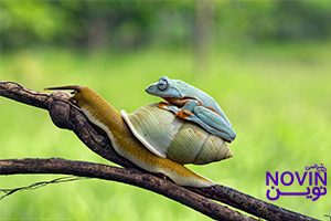 شخصیت شناسی mbti